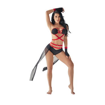 Disfraz Ninja Lerot...