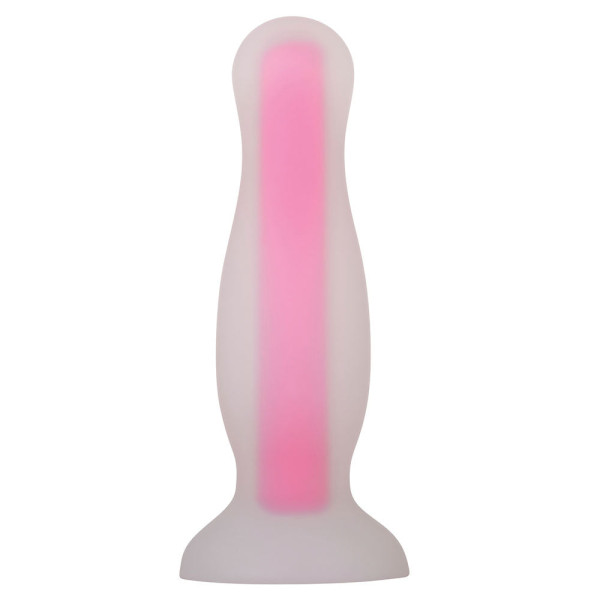 Plug Anal Luminoso Evolved