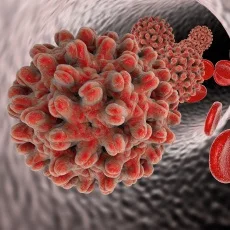 Imagen informativa sobre Hepatitis B