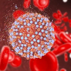 Imagen informativa sobre Hepatitis C