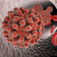 Imagen informativa sobre Hepatitis B